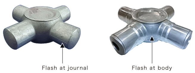 Image of characteristics